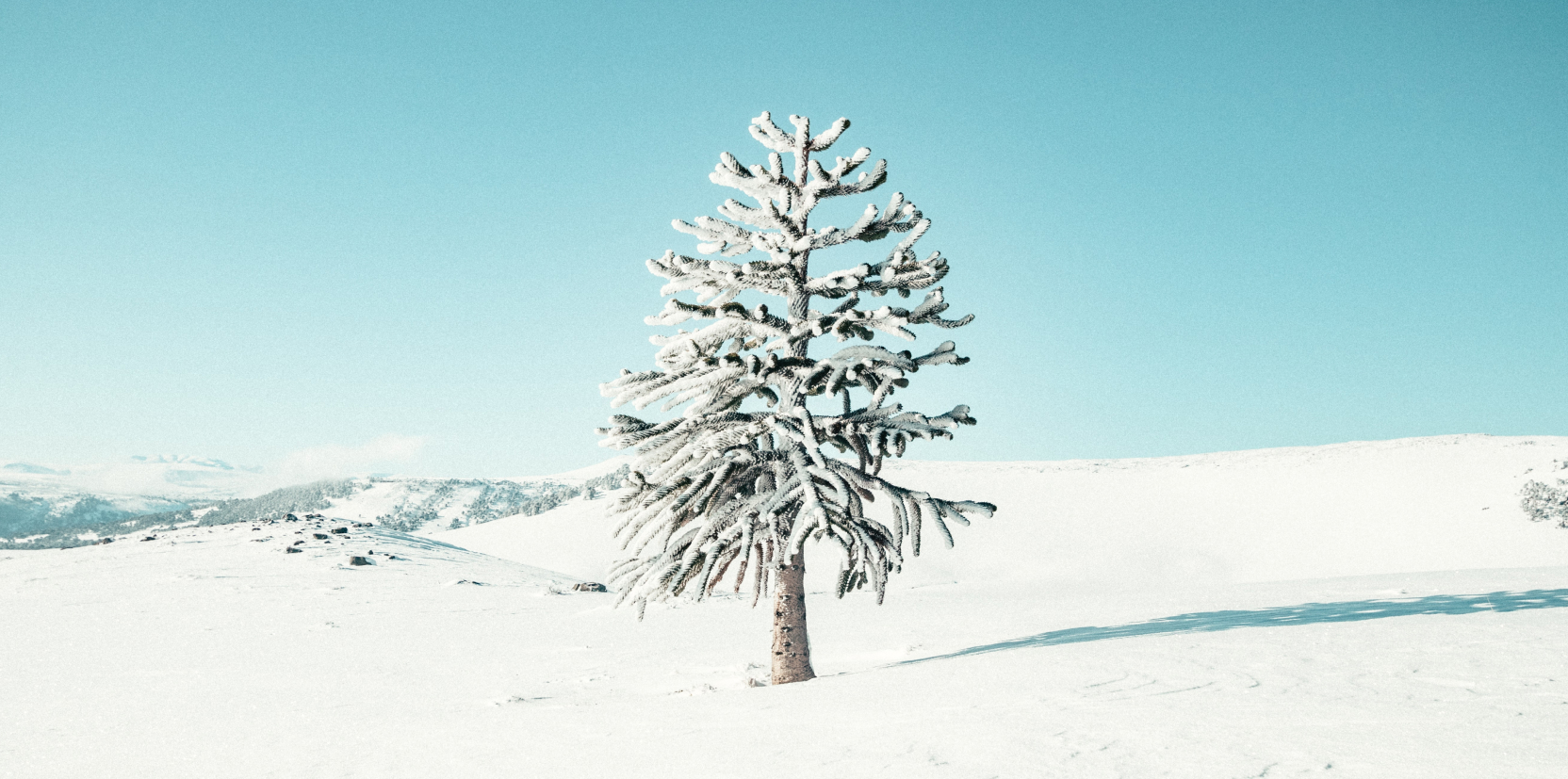 Environmental Sustainability and Women-Led Initiatives