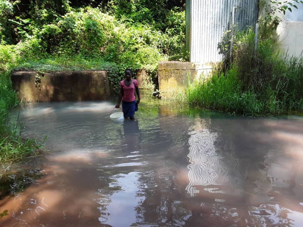 Community-Led Reforestation - ecological restoration involves local participation