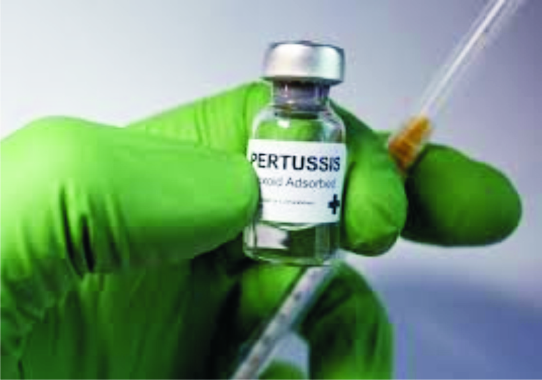 Pertussis Is Back: What Nigeria Must Know, and Do, to Protect Every Baby