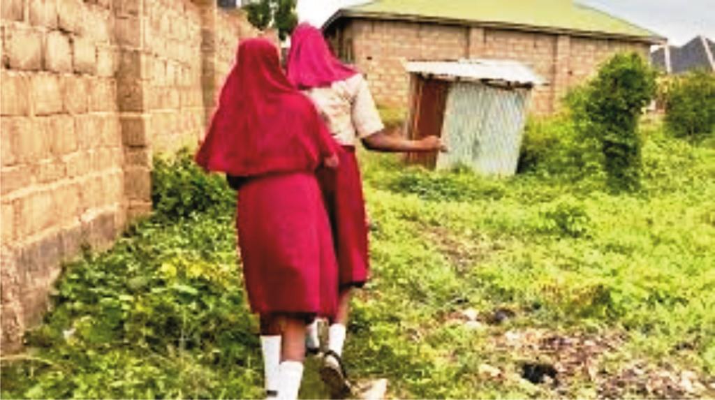Nigerian girl child education: Nigerian girls walking to school in rural areas, facing challenges of distance, safety, and poverty